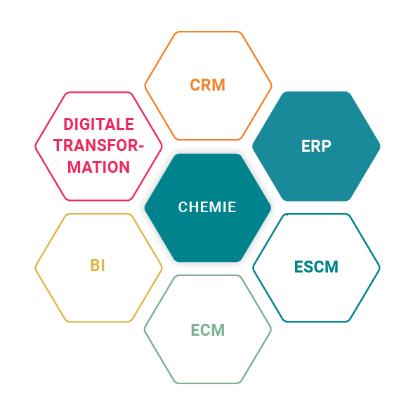 ERP bei Schweitzer Chemie für die Chemie Branche