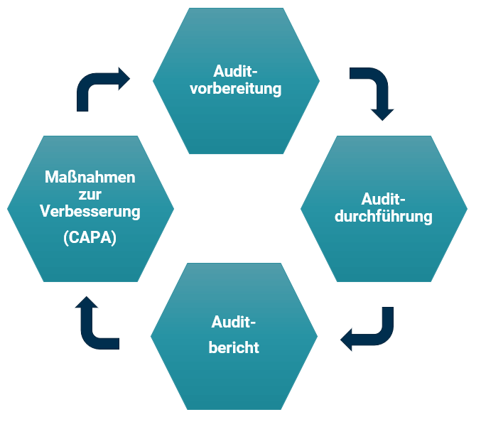 Prozessablauf Audit