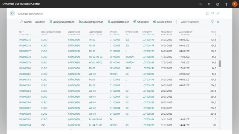 Screenshot der Warehouse Management App Bereich Ladungsträgerliste