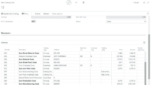 Screenshot of the structure of item costing and costing values