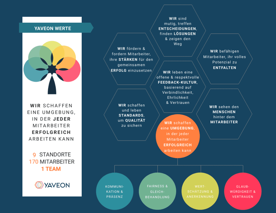 Die YAVEON Werte als Grafik