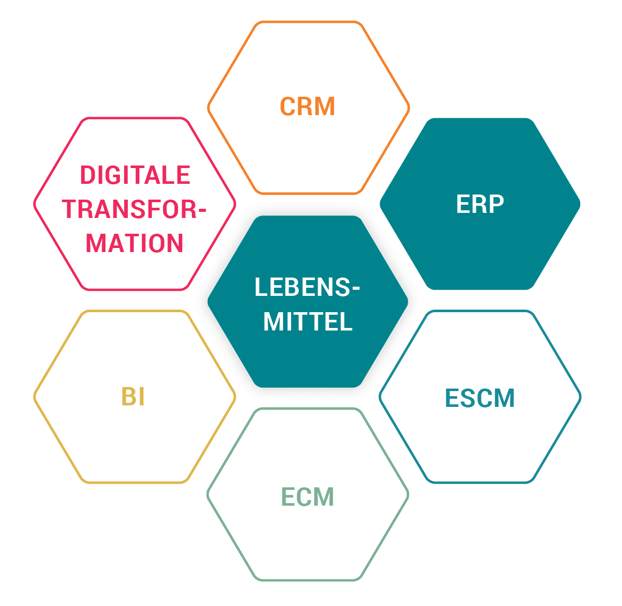 Referenzbericht Aquanova: ERP für die Lebensmittelindustrie