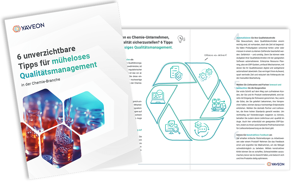 Vorschaubild Qualitätsmanagement Whitepaper