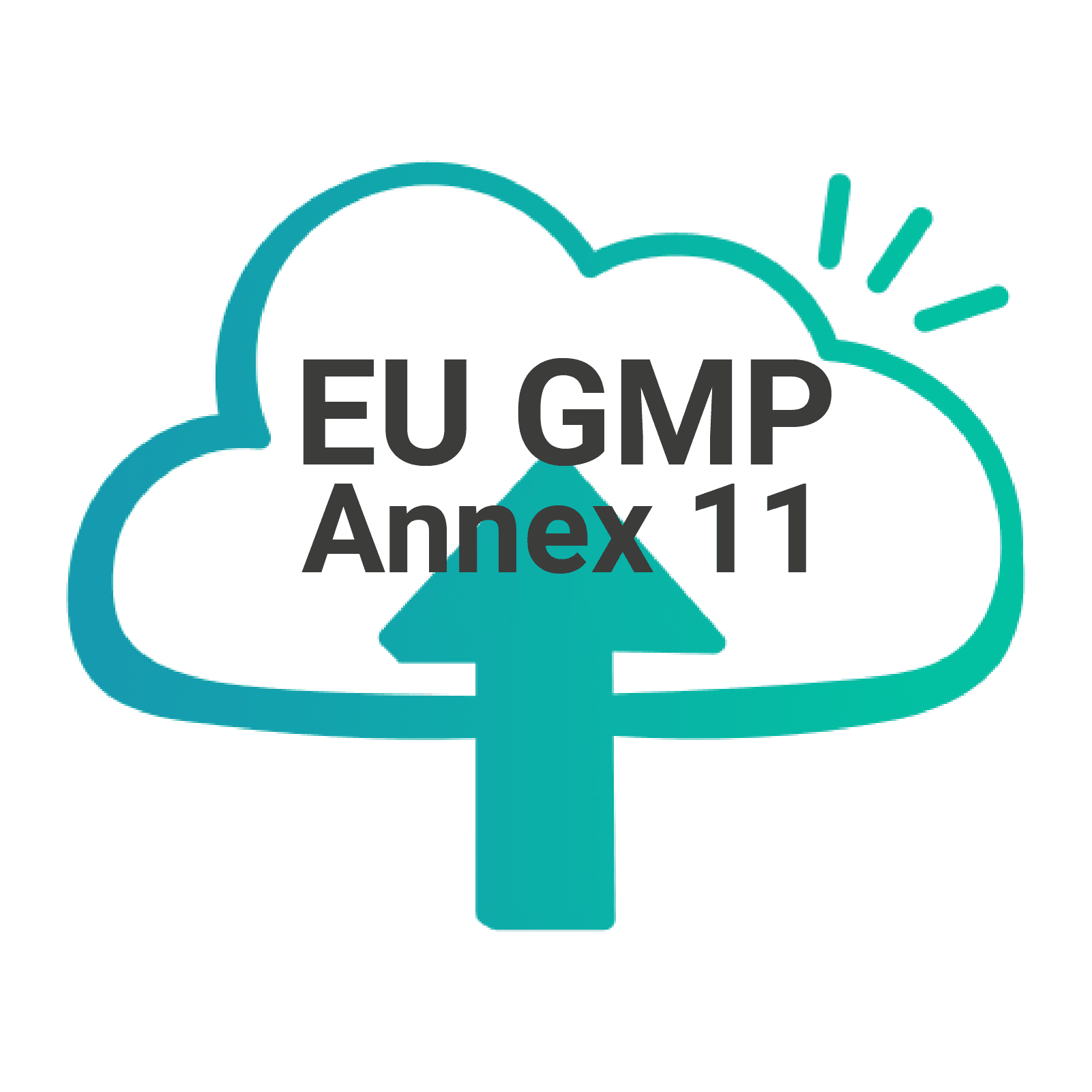 Wolken-Icon mit Text EU GMP Annex 11