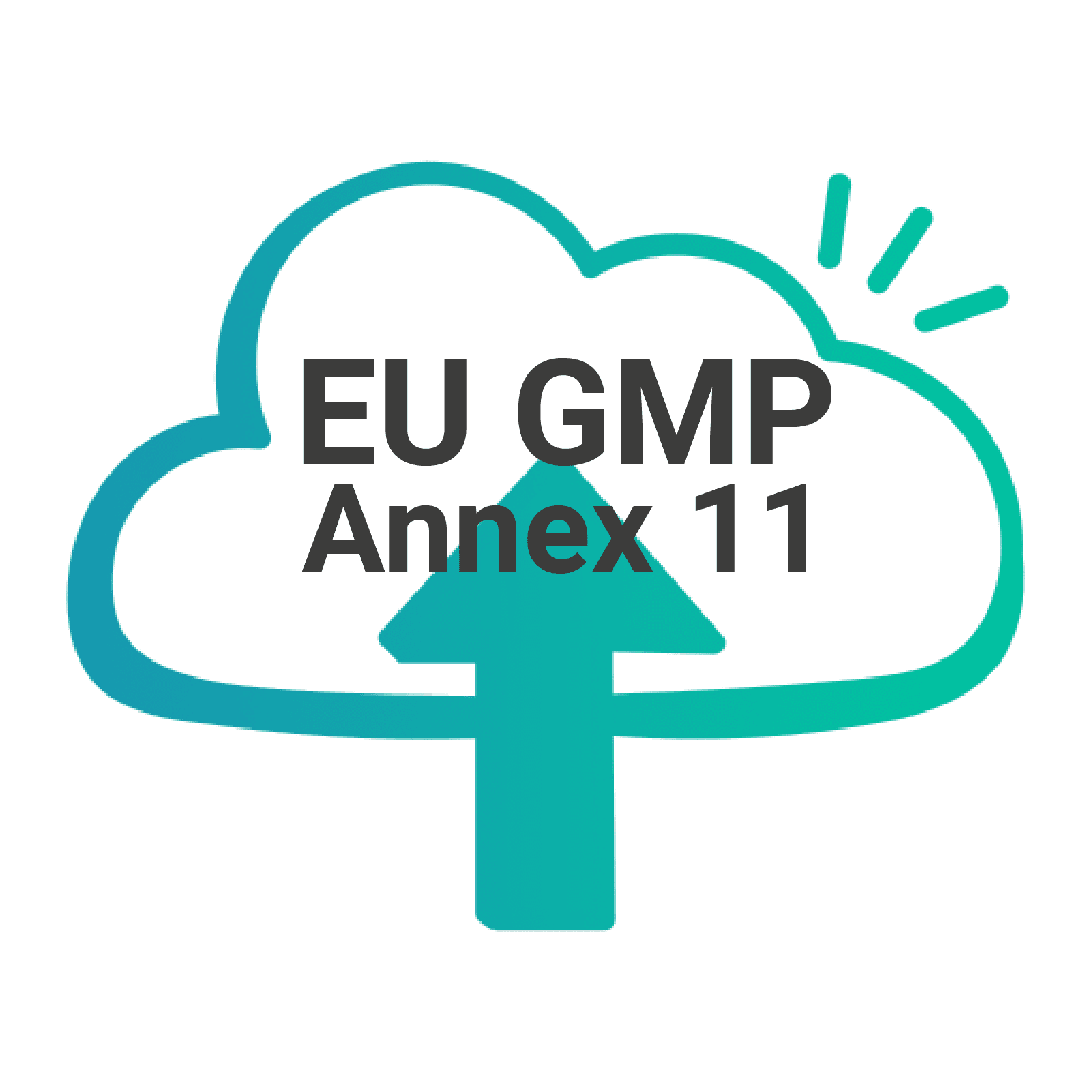 Wolken-Icon mit Text EU GMP Annex 11